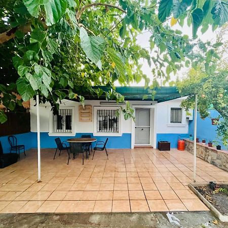 Estudio Adosado Acogedor Con Jardin, Barbacoa Y Parking Privado Alicante Exterior foto