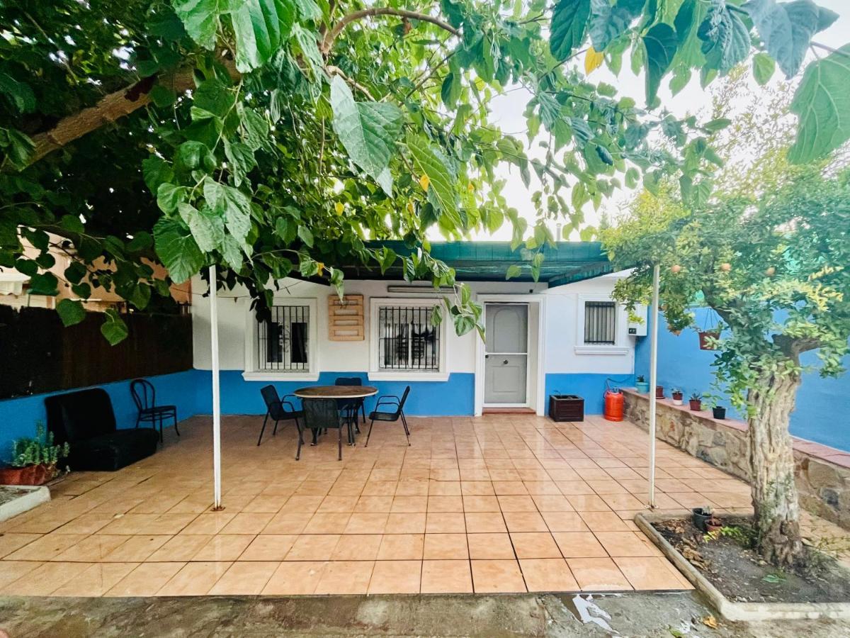 Estudio Adosado Acogedor Con Jardin, Barbacoa Y Parking Privado Alicante Exterior foto